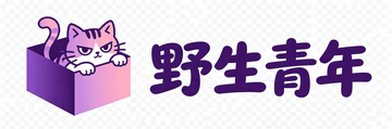 野生青年